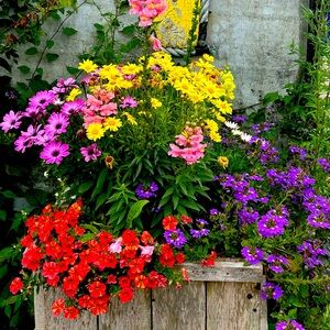 Meet your Posher, Bridget